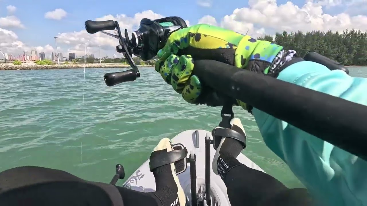 Ep32 ECP tiny fishes