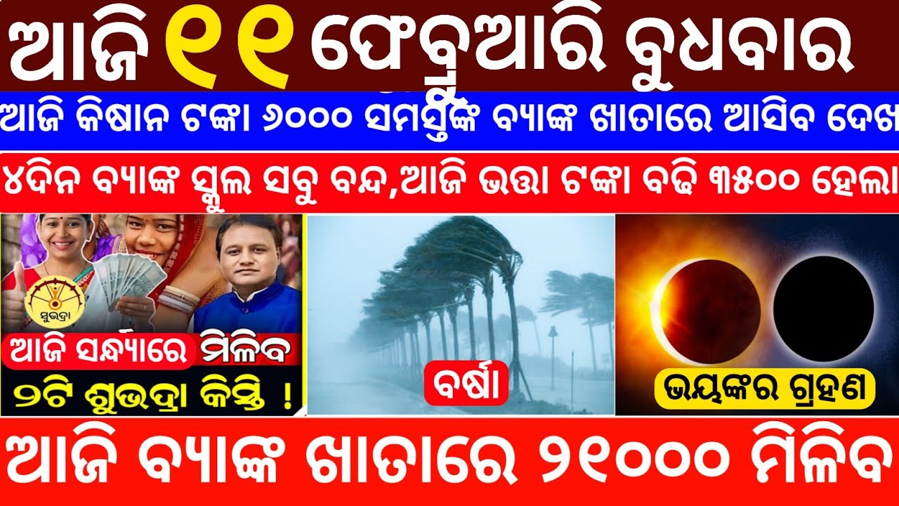 Today's Odia News/11 February 2026/Odisha News Today/PM Kisan Yojana/Subhadra Yojana/odisha news