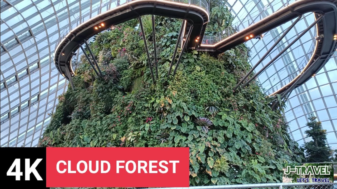 4K EXPLORING | Cloud Forest Singapore