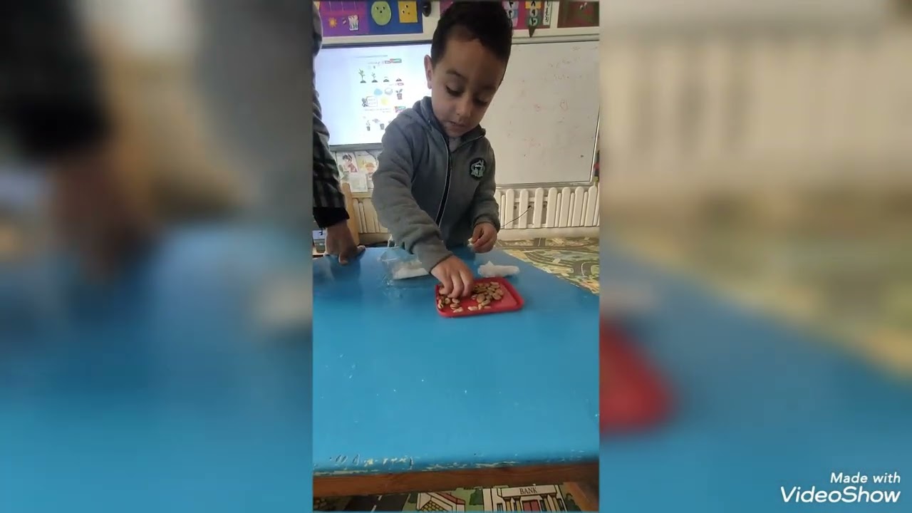 مراحل زراعة نبتة 🌱💦🍃🌅☀️ قاعة الهنا🌹❤️