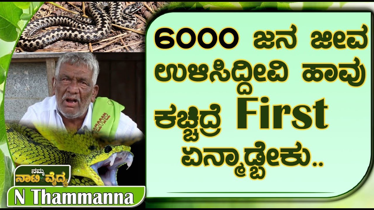 ನಮ್ಮ ನಾಟಿ ವೈದ್ಯ | ಈ ಹಾವು ಕಚ್ಚಿದ್ರೆ 3 ನಿಮಿಷ | ನಾಗರ ಹಾವಿನ ವಿಷ ತುಂಬಾ danger | N Thammana #mandya #koppa