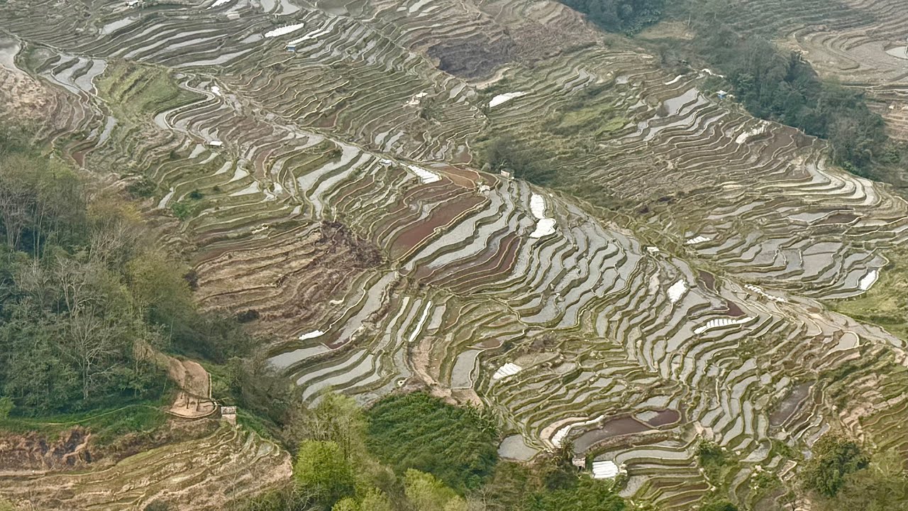 世界文化遺產雲南元陽梯田霸 達景區