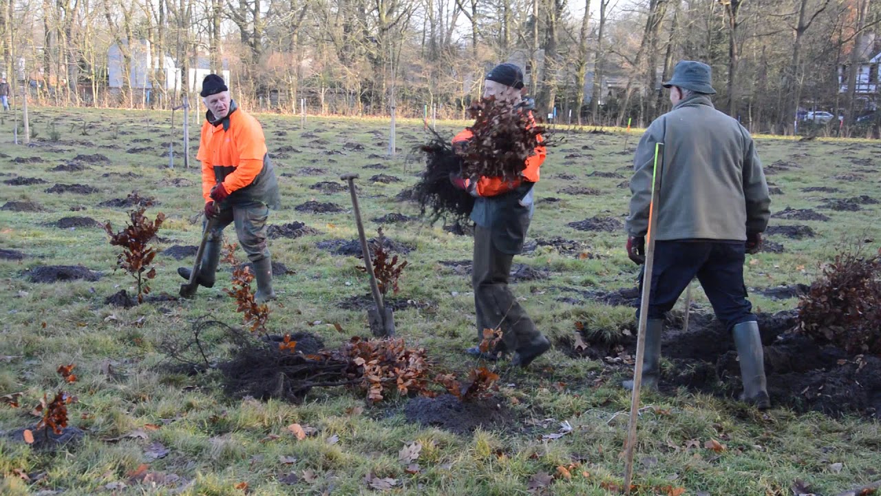 Plantweekend stadsbos Turnhout