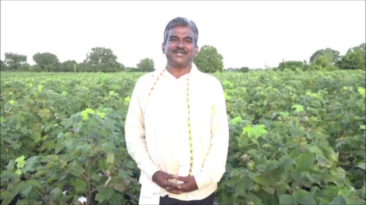Ganesh Nanote on Bt Cotton farming in India
