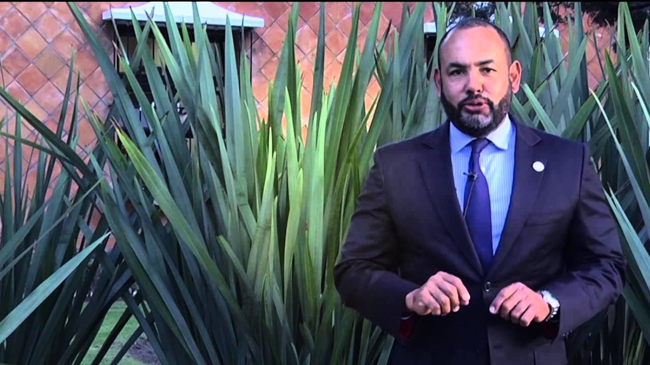 Cómo armar una verdadera arquitectura tecnológica