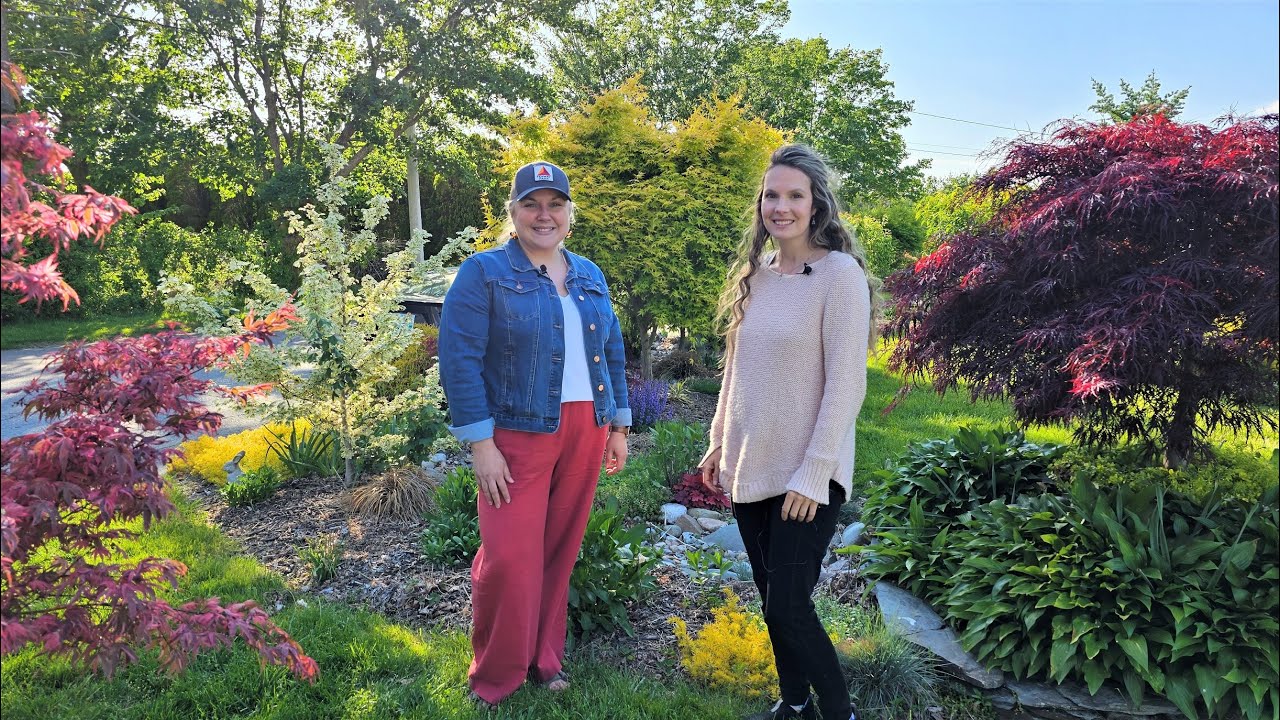 A Lush RI Small Home Garden Tour! Japanese Maple Collection, Clematis, Roses & High Density Orchard