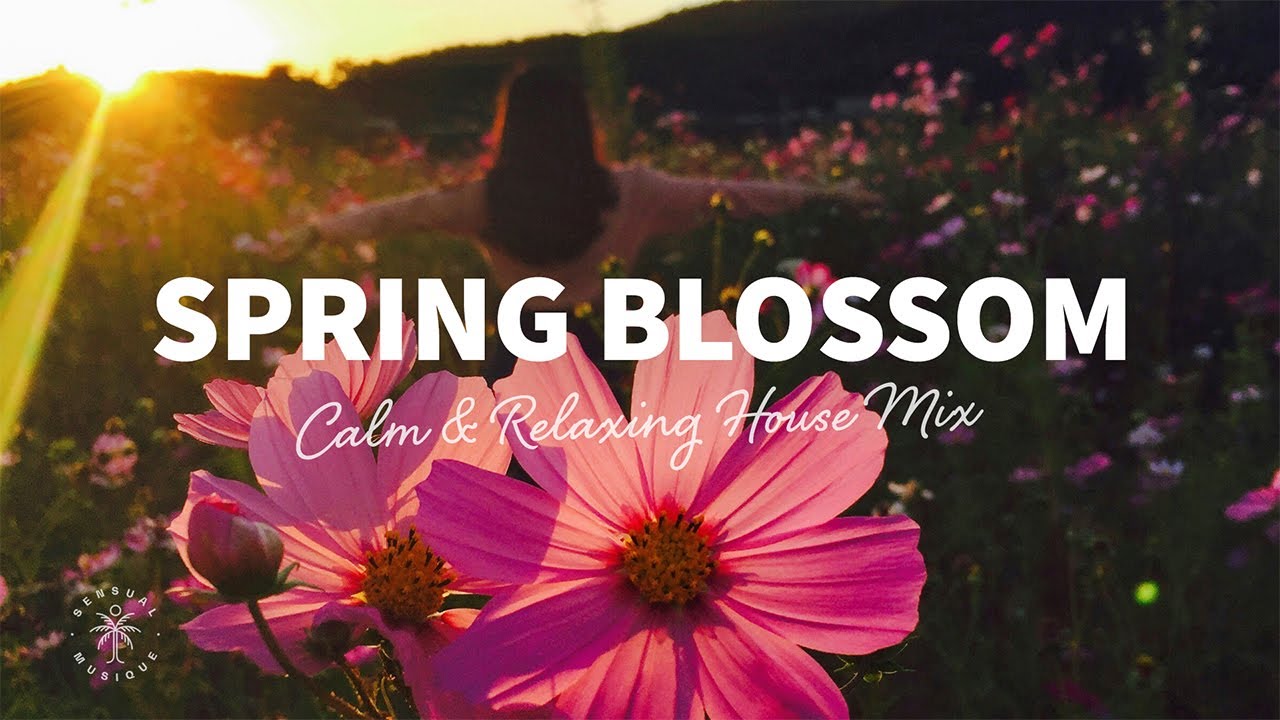 Spring Blossom 🌷 Calm & Relaxing House Music | Chill Music Mix 2025