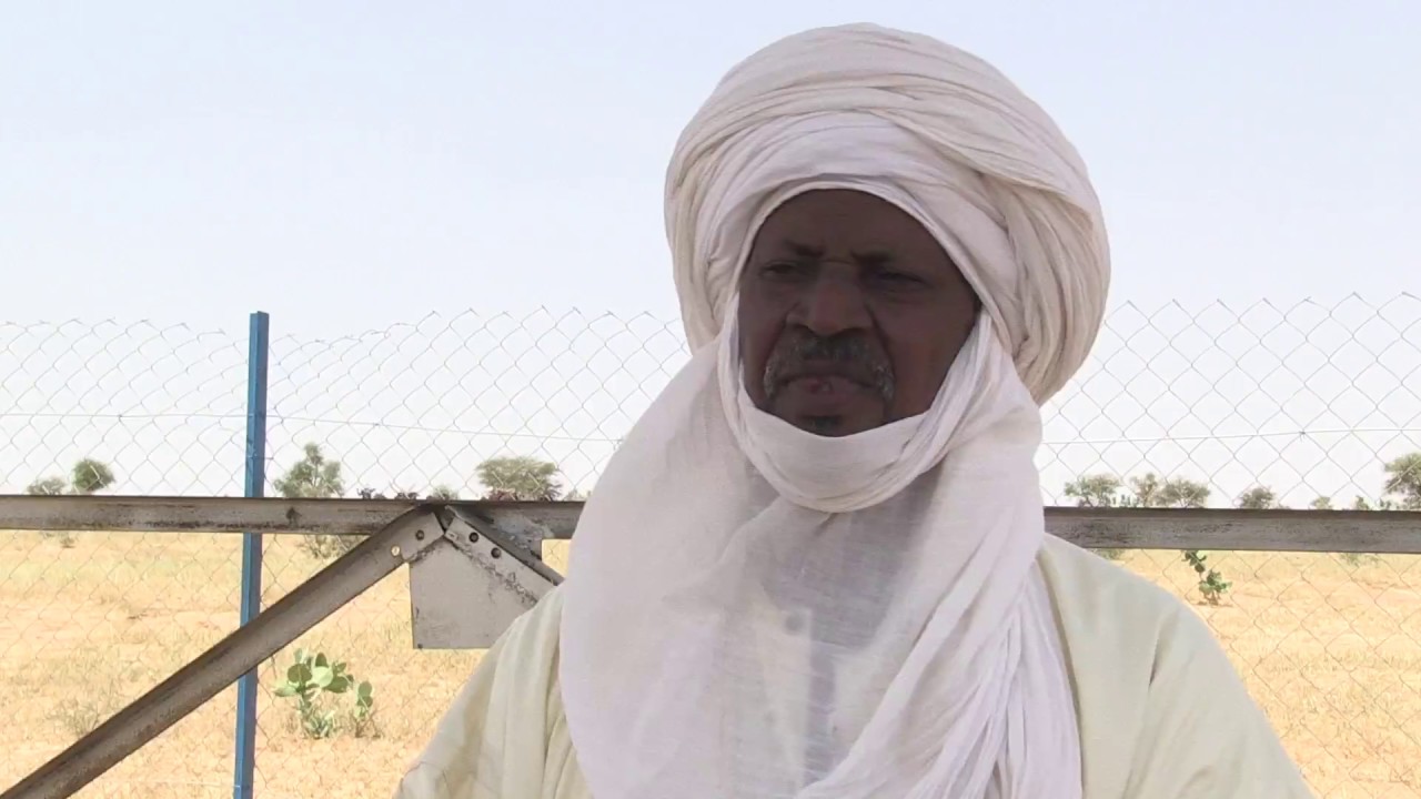 L’élevage au Niger,  un secteur d’avenir