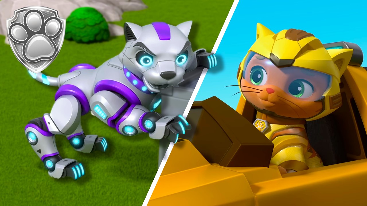 The Cat Pack Fights Off an Even Bigger Cat! 🐱 | Mighty Pups | PAW Patrol