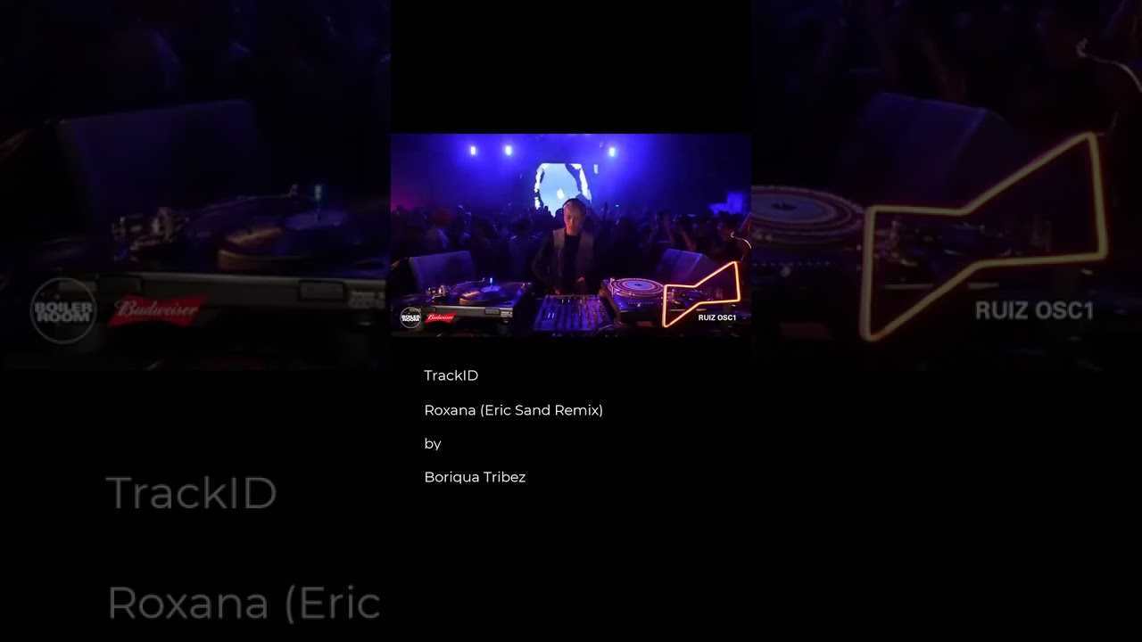 Boriqua Tribez - Roxana (Eric Sand Re mix)
