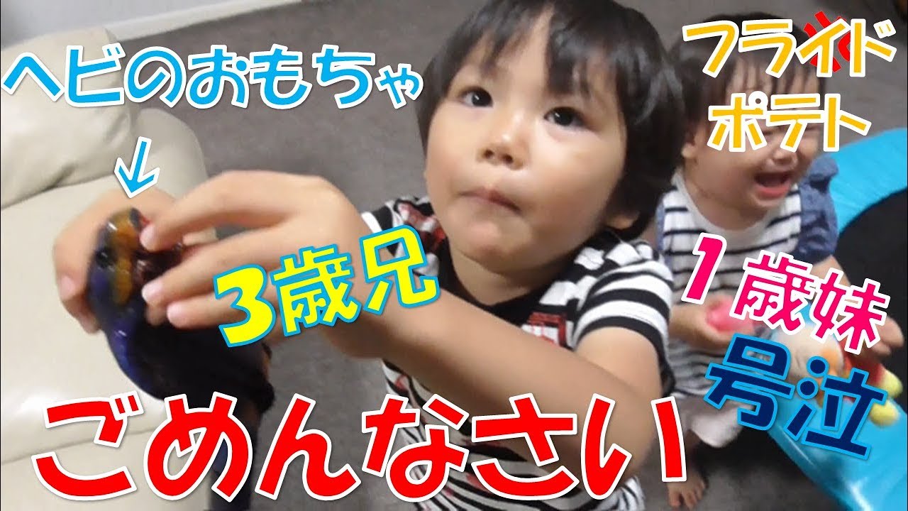 パパが持ってきたおもちゃで娘を号泣( ﾉД`)兄妹andパパ