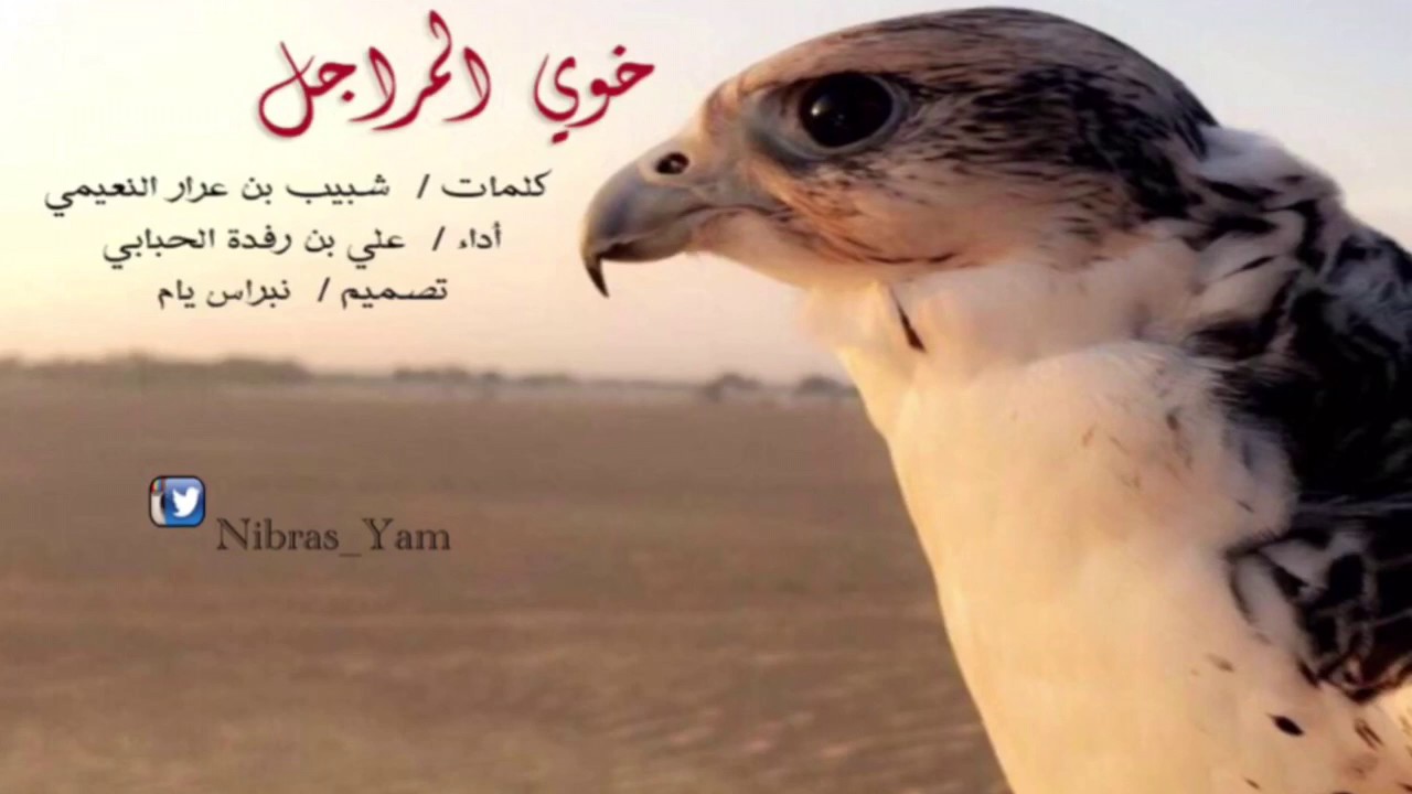 علي بن رفدة الحبابي |  خوي المراجل   -   بطيئة