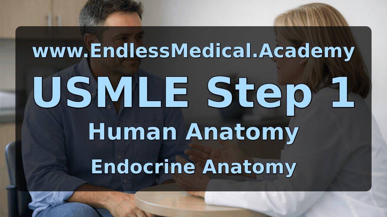 Endocrine Anatomy, Human Anatomy, USMLE Step 1 - Full Vignette with Extended Explanations