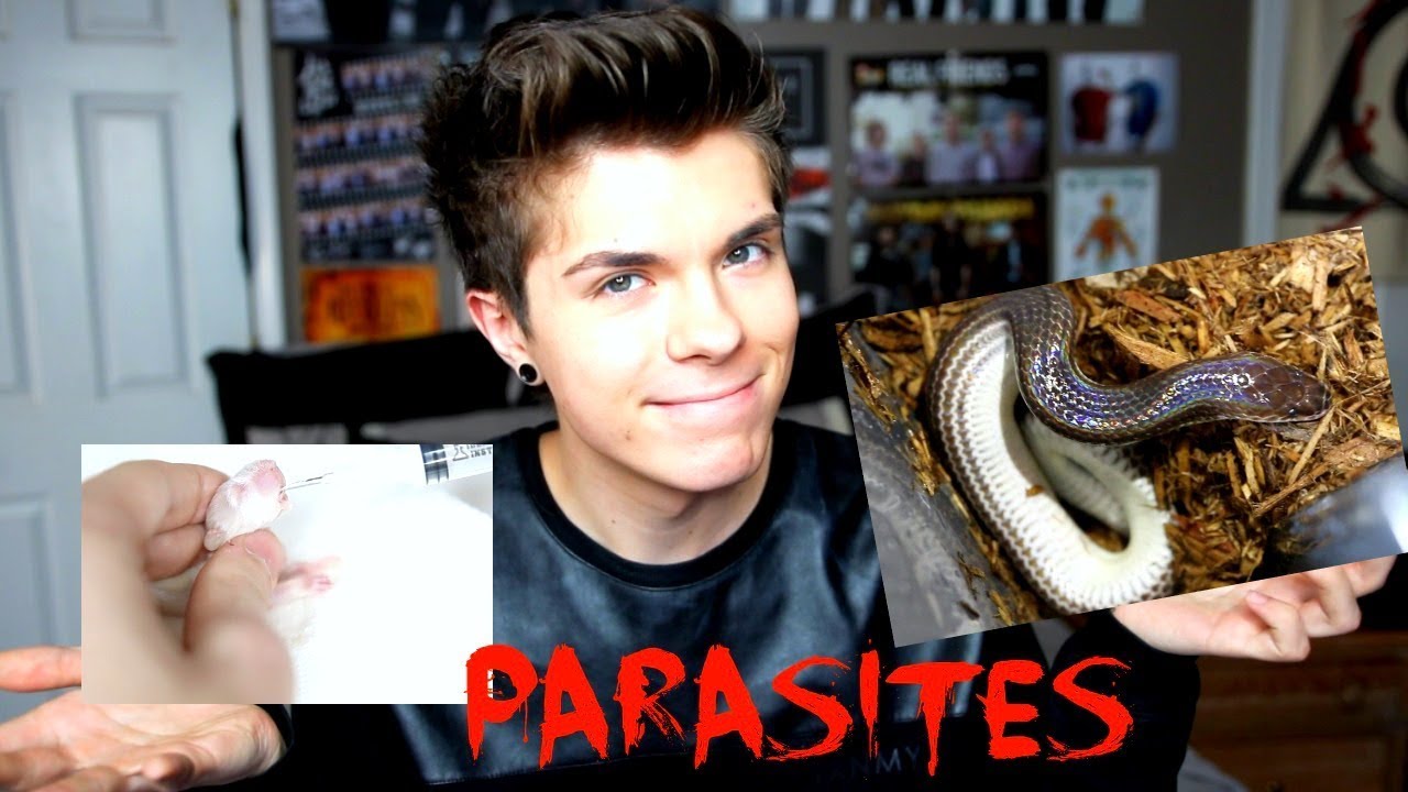 Treating My Snake for Parasites! | Sunbeam Snake