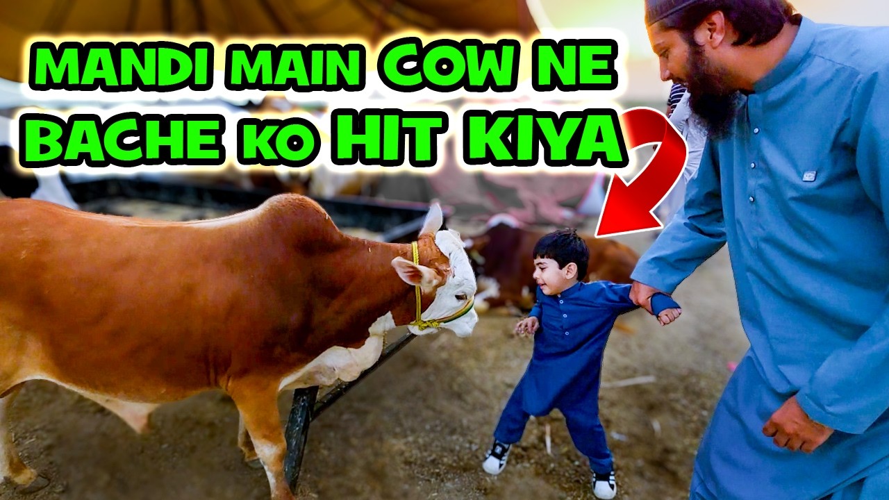 Cow Mandi main Kids ke Sath Full Enjoy Kiya | Northern Bypass Cow Mandi | Cattle Market Karachi