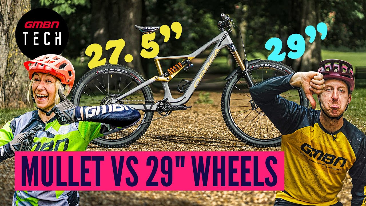 Mullet Vs 29
