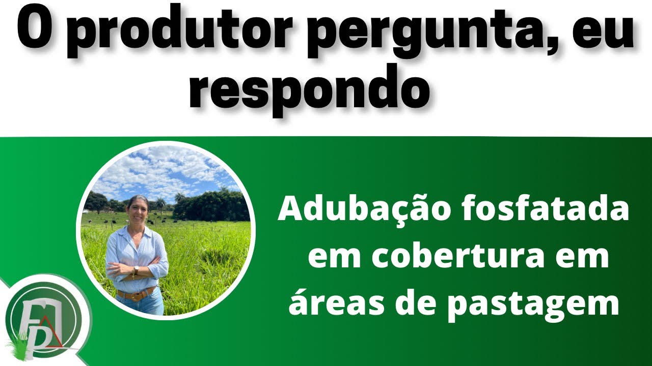 ADUBAÇÃO FOSFATADA EM COBERTURA EM PASTAGENS: o produtor pergunta, eu respondo