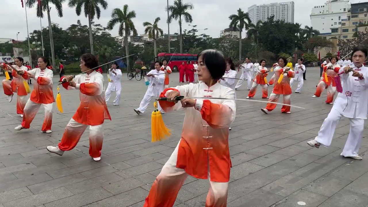 Thái cực kiếm 42 thức - Thanh Huyền