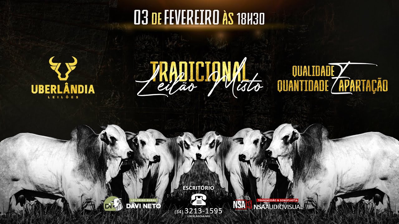 🔴🌾 [TRADICIONAL] LEILÃO MISTO - Uberlândia Leilões TV  👨‍🌾🐂 - 03 de FEVEREIRO