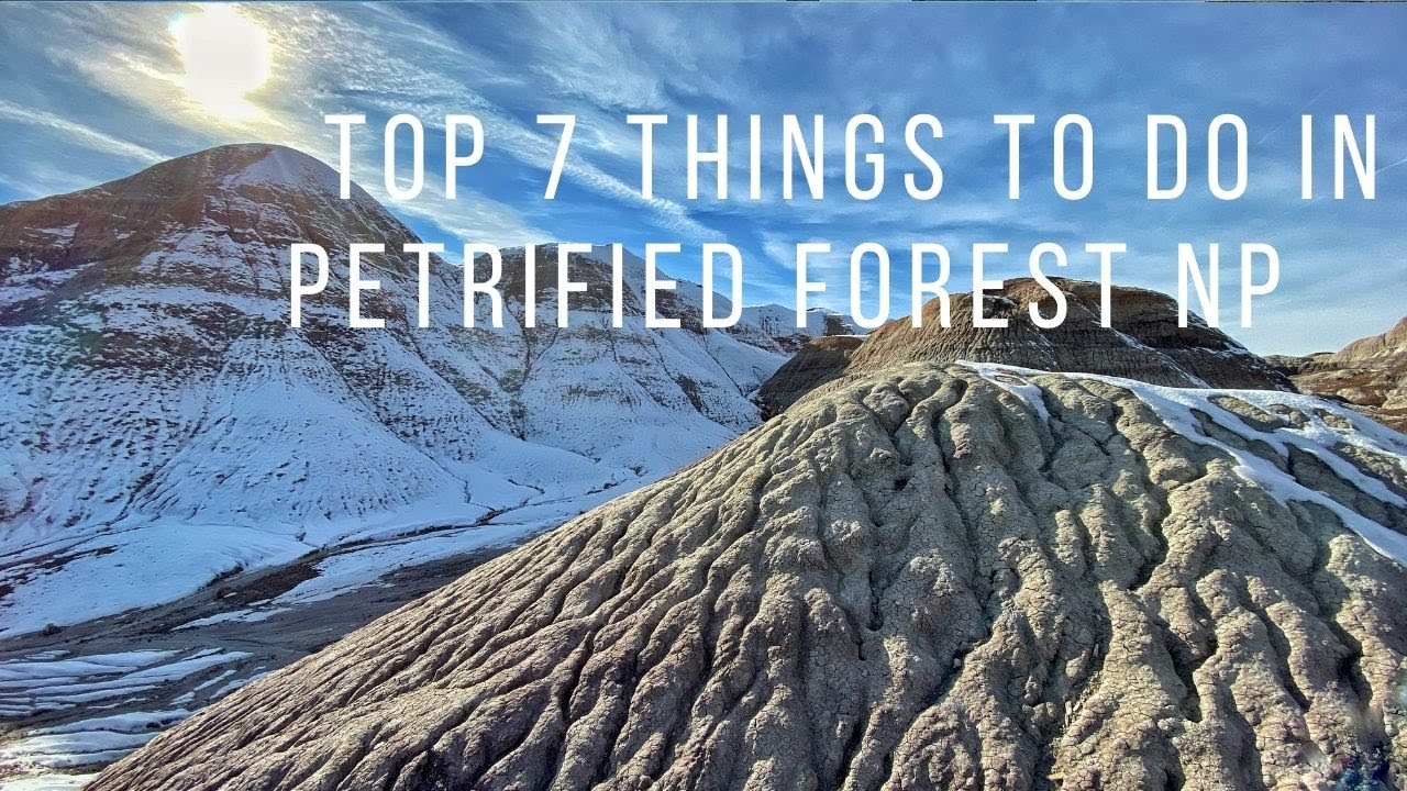 Petrified Forest National Park - seven unique locations in the Painted Desert!