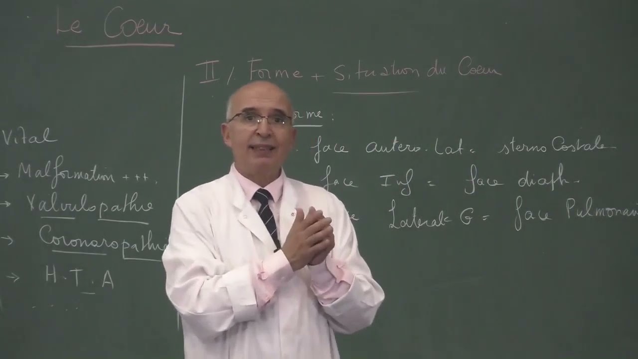 COURS ANATOMIE 7: Cœur partie 1