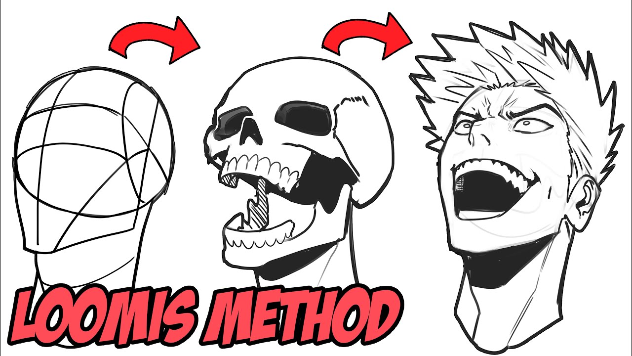How to Draw Heads Using the Loomis Method (Beginner's Guide)
