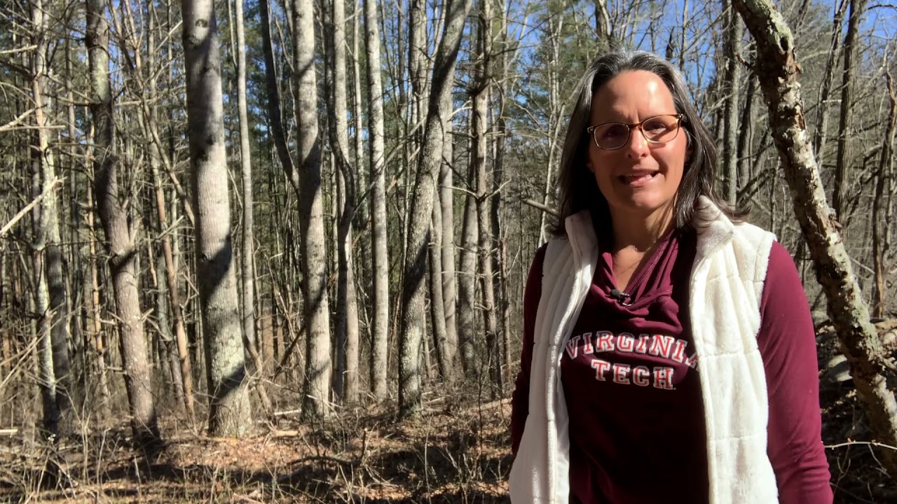 Fifteen Minutes in the Forest: Management Goals and Objectives