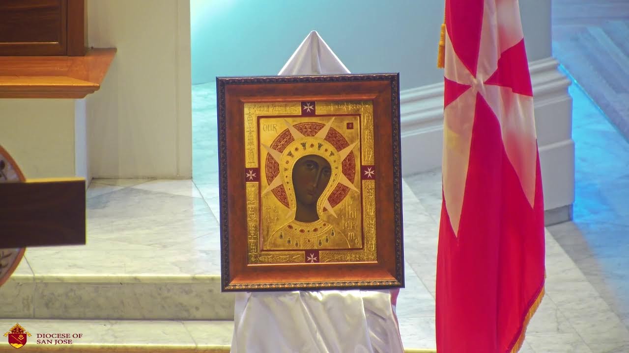 Rosary  - World Day of the Sick Mass 2026 |10:30