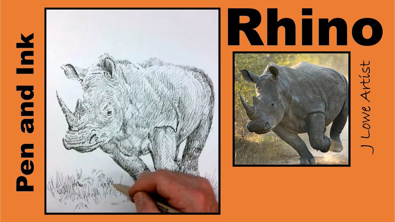 How to draw a Rhinoceros step by step with pen and ink