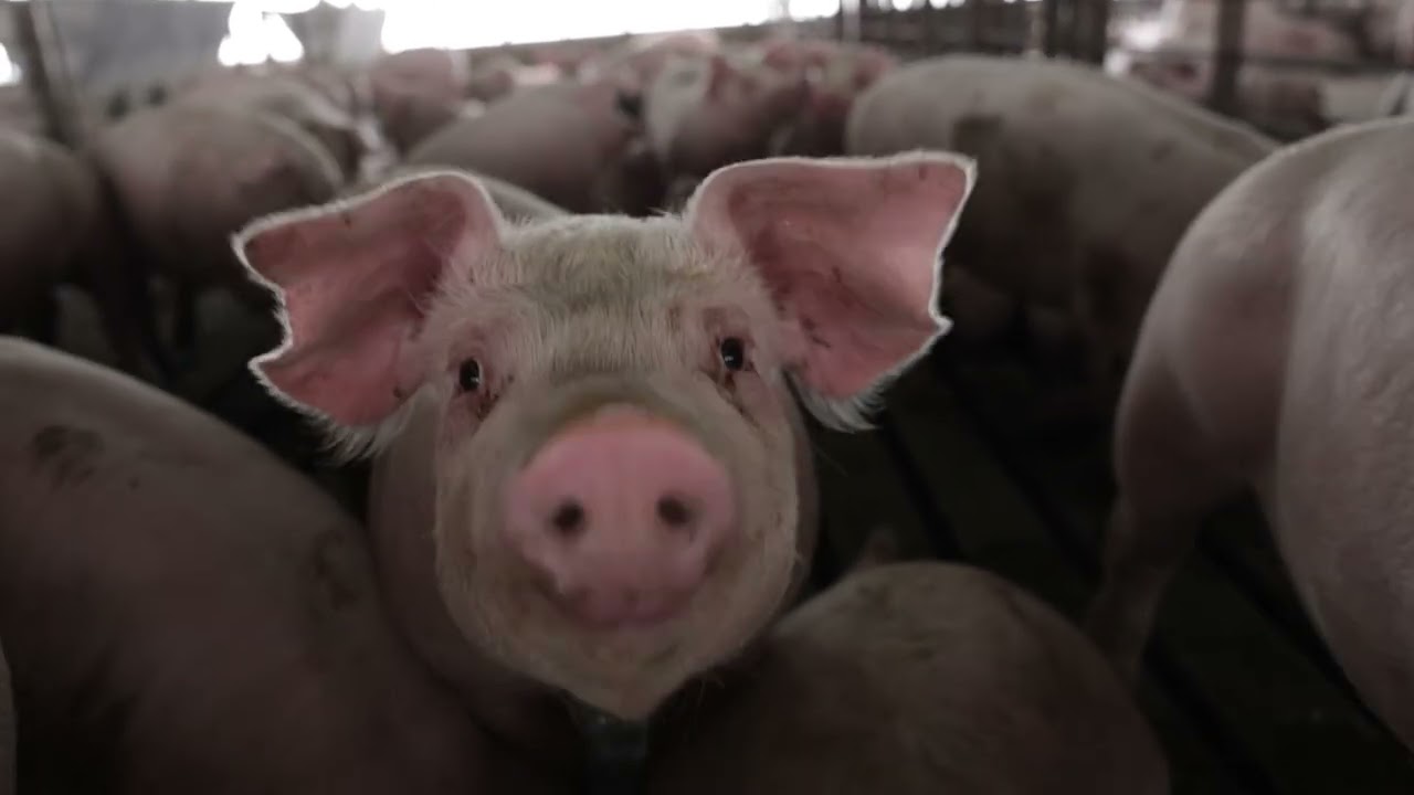 Advocacy in Action: Bill to Improve County Zoning Processes Becomes Law