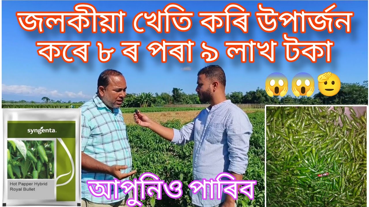 জলকীয়া খেতি কৰি উপাৰ্জন কৰিছে ৮ ৰ পৰা ৯ লাখ টকা জলকীয়া খেতিৰ বিষয়ে কিছু কথা#agriculture #farming