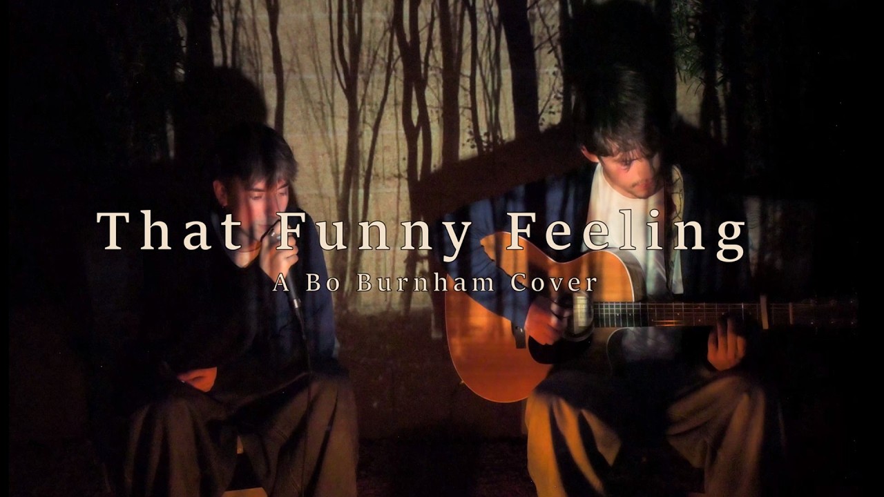 That Funny Feeling - Bo Burnham (Cover)