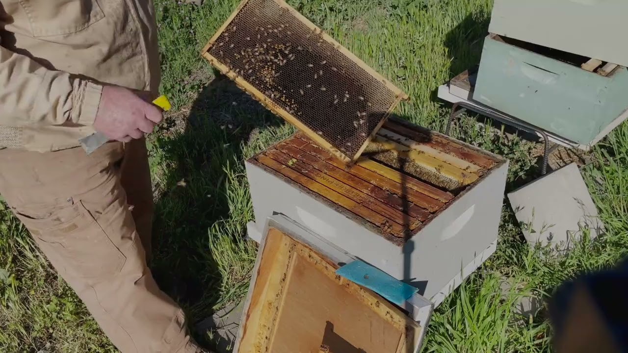 Stop Swarming Spring 2025