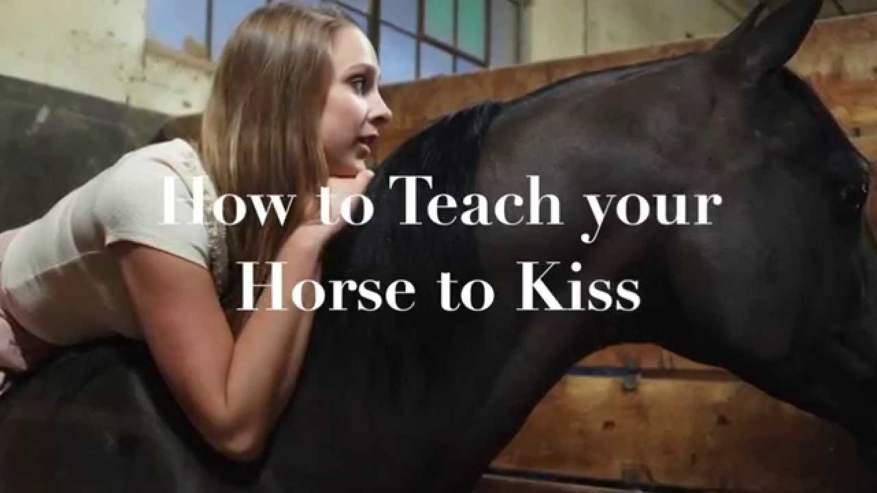 How to Teach your Horse to Kiss