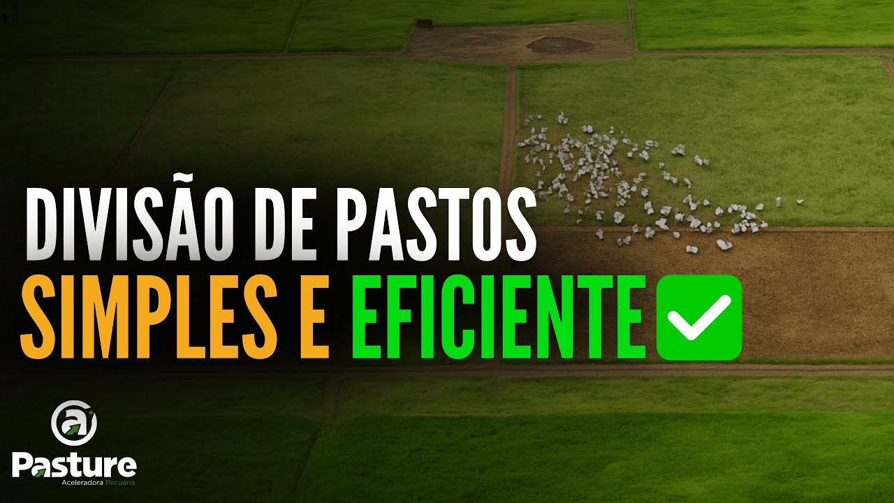 PASTEJO ROTACIONADO - PROJETO DE BAIXO CUSTO| PASTURE PARTNER #3