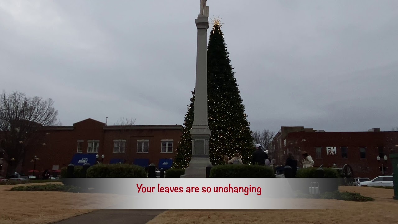 Scott Gray - Oh Christmas Tree (Official Lyric Video)