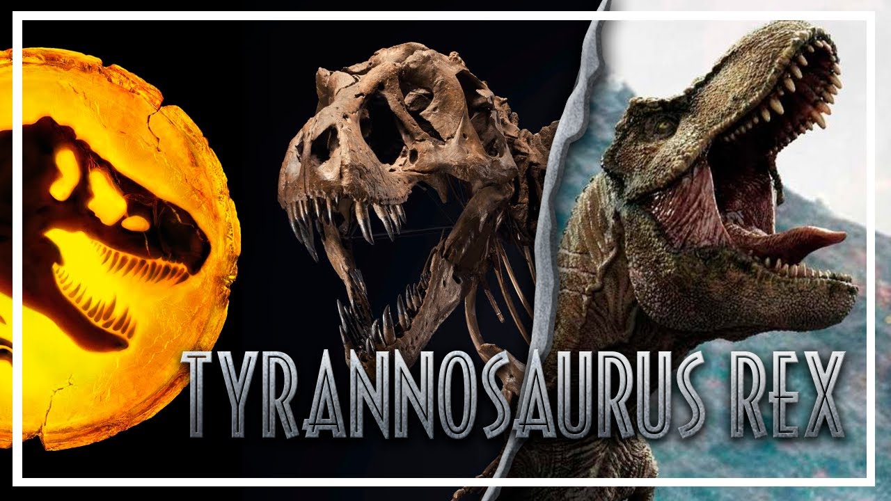 TYRANNOSAURUS REX - JURASSIC WORLD vs REALIDAD - JURASSIC WORLD DOMINION