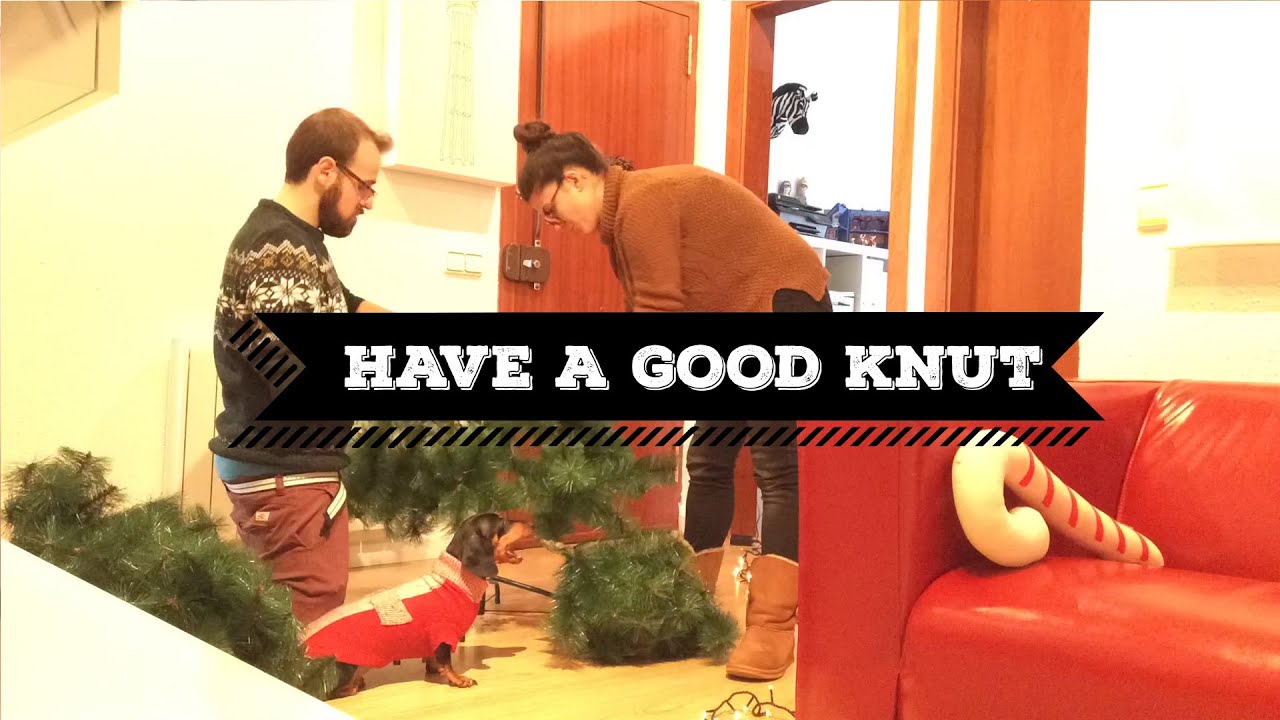 What is the KNUT'? | Celebrating KNUT's day