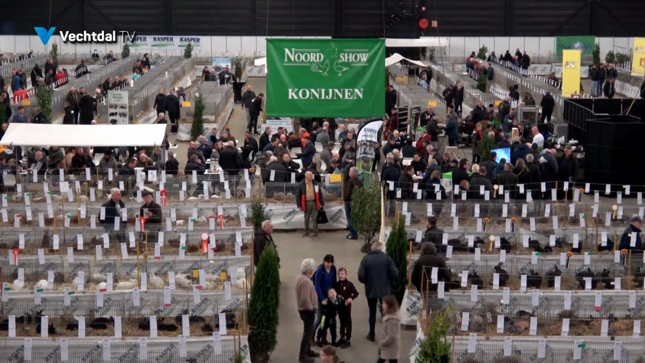 Dierenparade Noordshow in Hardenberg
