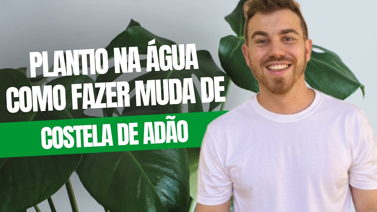 Plantio na água: COMO FAZER muda de COSTELA de ADÃO | Gabriel Penteado