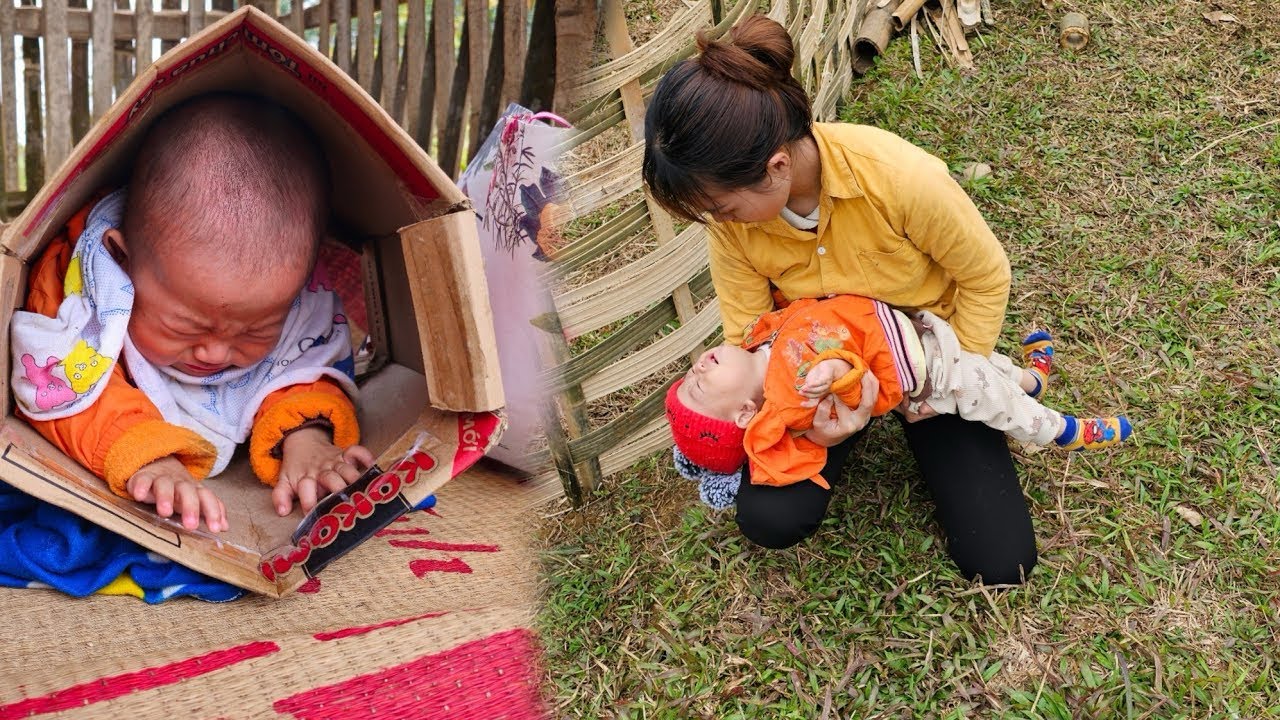 Single Mother and Son Pick Vegetables to Sell | Planting a Bamboo Garden for a New Life
