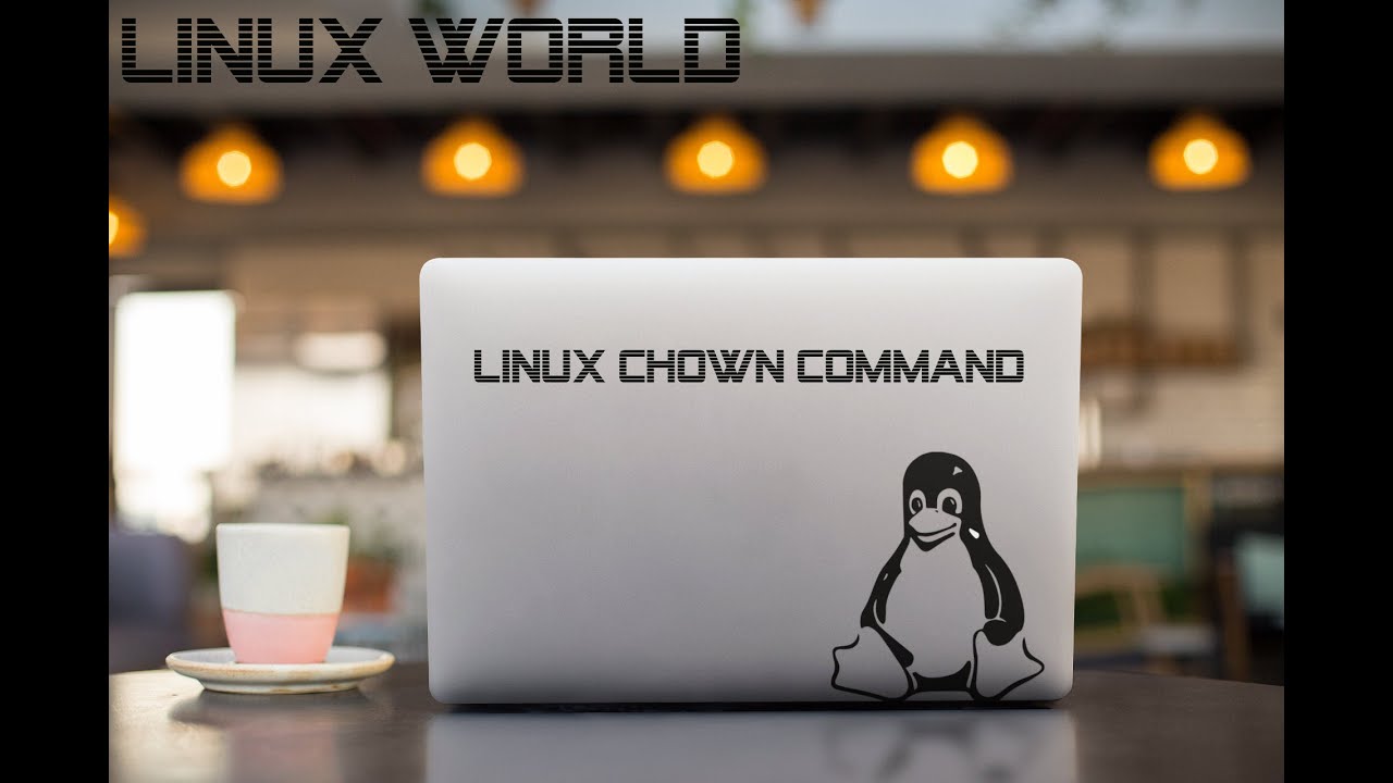 chown + Linux chown command