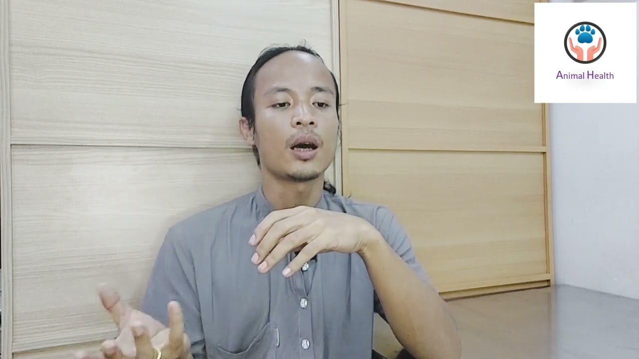 မျိုးဝက်မ​မွေးမြူသူ​တွေအတွက် ကိုယ်ဝန်​ဆောင်ကာလ ဝမ်းချုပ်ခြင်း နှင့် MMA Syndrome ဖြစ်​ပေါ်လာပုံ