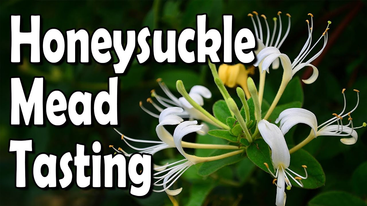 Mead:  Honeysuckle or... Honey-SUCK after a Year?