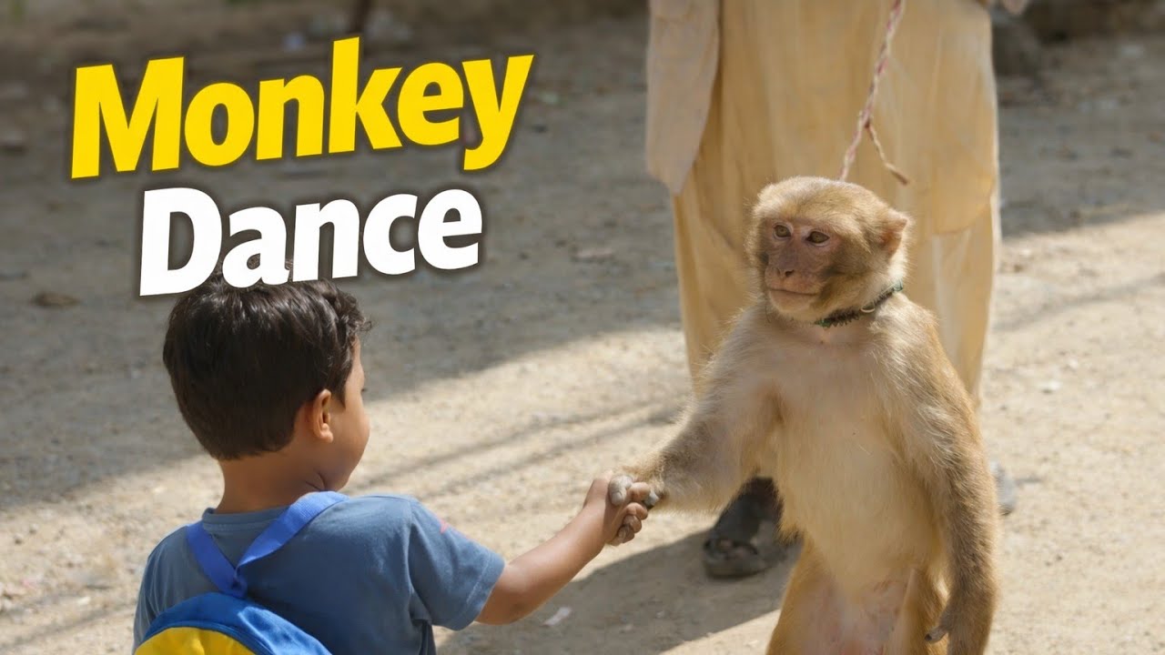 Monkey Dance Maza agaya hai ||Muhammad Ahil|| na hath mil liya monkey say 😱😱
