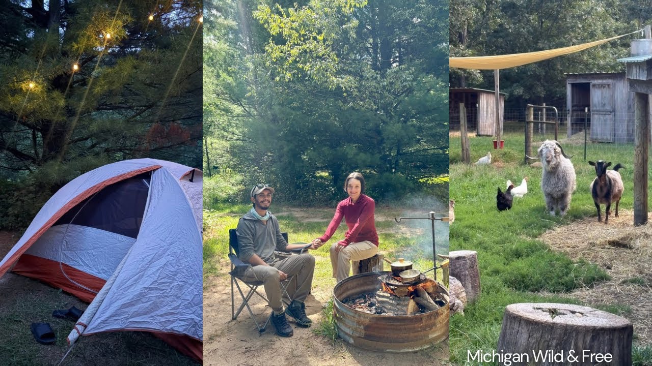 Peaceful stay at the hen & hive campground. Spent time with the farm & animals. Camping in Michigan 