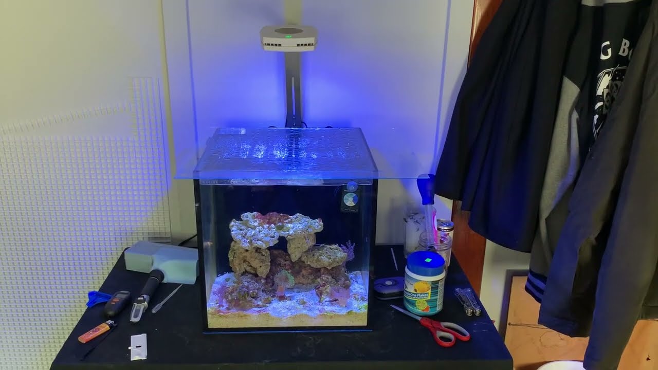 Innovative Marine Fusion 15 AIO | Quick Review