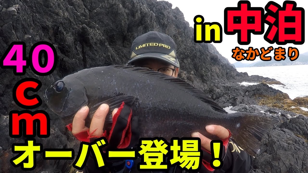 ブサメンでもグレが釣りたいｗｗｗ