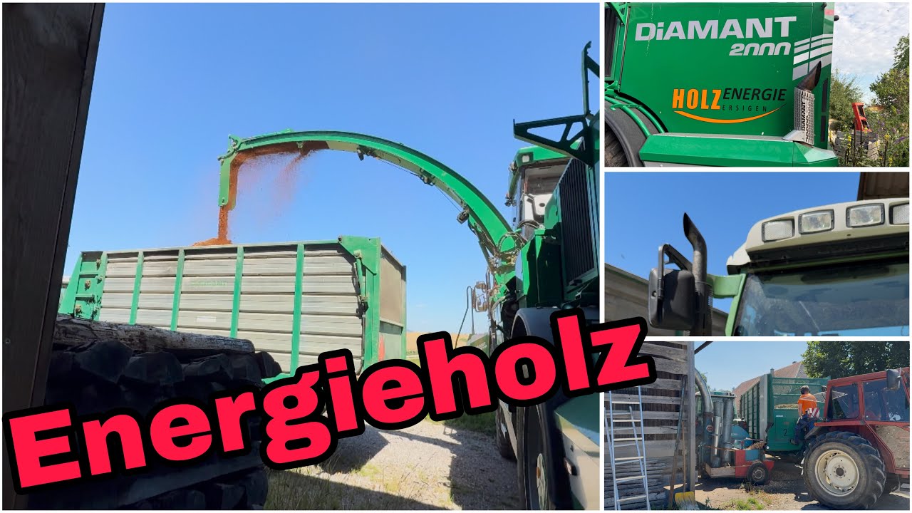 Holzschnitzel f&uuml;r Winter 25/26