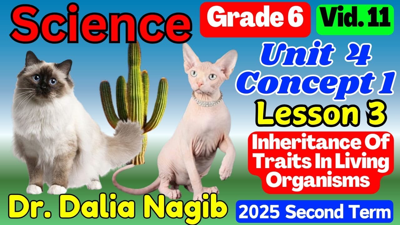 ساينس سادسة ابتدائى 𝟐𝟎𝟐𝟓  𝐒𝐜𝐢𝐞𝐧𝐜𝐞 𝐆𝐫𝐚𝐝𝐞 𝟔 𝐔𝐧𝐢𝐭 𝟒 𝐂𝐨𝐧𝐜𝐞𝐩𝐭 𝟏 𝐋𝐞𝐬𝐬𝐨𝐧 𝟯  𝗜𝗻𝗵𝗲𝗿𝗶𝘁𝗮𝗻𝗰𝗲 𝗢𝗳 𝗧𝗿𝗮𝗶𝘁𝘀